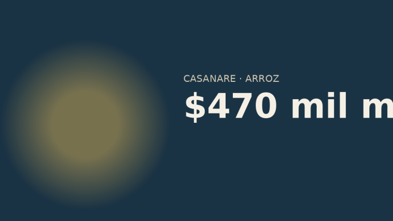 Deuda de los arroceros de Casanare